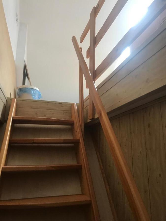 Dandelion Noclegi 바르샤바 외부 사진